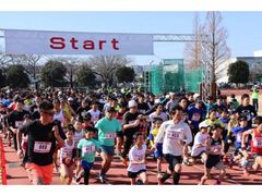 �����p���W�[�}���\���̎ʐ^1