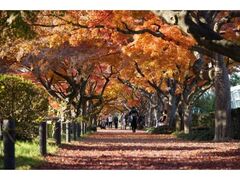 ww@wnȕAiΐAj̍gt̎ʐ^1