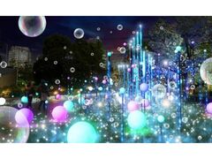 MIDTOWN CHRISTMAS 2025̎ʐ^1