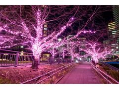 ڍ݂Ȃ̃C~l[V2025̎ʐ^1