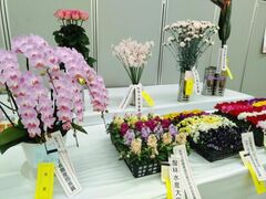 �_�ސ쌧�Ԃ��W����u�ԂƂ݂ǂ�̃t�F�X�e�B�o���v�̎ʐ^1