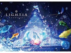 SEAPARADISE Christmas̎ʐ^1