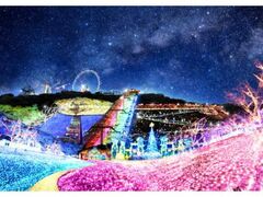 �����݌΃C���~���I���̎ʐ^1