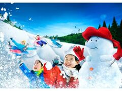 �����݌�MORI MORI�@�X�m�[�p���_�C�X�̎ʐ^1