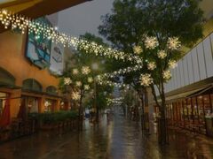  `b^fb EB^[ C~l[V̎ʐ^1