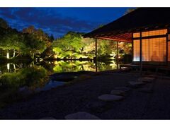 {_ْ뉀@H̃CgAbv̎ʐ^1