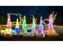 �C�P�����̋��u���̋��C���~ the �i�C�g2025�v�̎ʐ^1