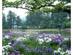 �щz������߂܂�̎ʐ^1