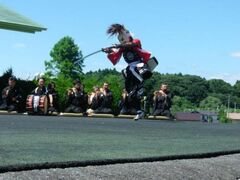 ���_�y���̎ʐ^1