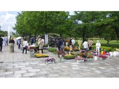 �ԂƗ΂̂܂�̎ʐ^1