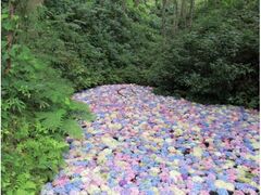 �݂��̂������������@�J���̎ʐ^1