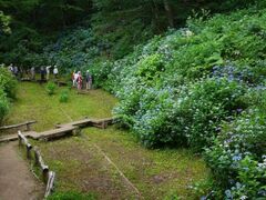 ���������ώ@��̎ʐ^1