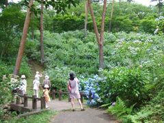 �`���`�����[���h���������@�����������̃A�W�T�C�̎ʐ^1