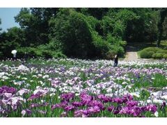 ���򊃌����@�Ҋ����̃n�i�V���E�u�̎ʐ^1