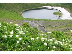 ���C�R�̍��R�A���̎ʐ^1