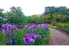 ��43��@����ߍՂ�̎ʐ^1