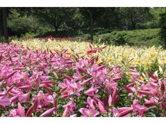 ���E�̂��������E���܂�̎ʐ^1