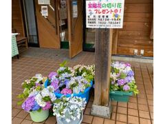 �����������̗��@���������̊J�Ԃ̎ʐ^1