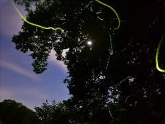 ���������������z�^���Ϗ܉�̎ʐ^1