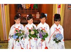 �v�q���������܂�̎ʐ^1