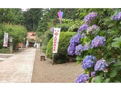 �V���{�̉Čw�E���������Ղ�̎ʐ^1