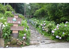 �Ƃ������������܂�̎ʐ^1