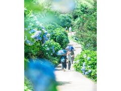 ���m�c�����������i�J���j�̎ʐ^1