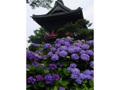 �\�쎛�@���������̎ʐ^1