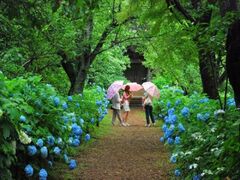 �@��쓰���z�Ԃ܂�̎ʐ^1