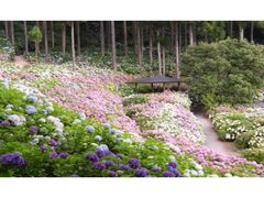 �����_�������������~�@�J���̎ʐ^1