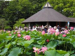 ��t�����̃I�I�K�n�X�̎ʐ^1