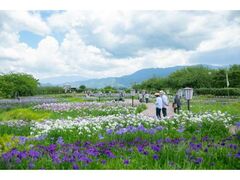 �Z�΂���߉��@����߂̊J�Ԃ̎ʐ^1