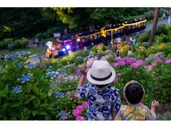 ���������Ղ�@in�@���}�R�����h�̎ʐ^1