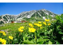 ���R�����A���y�����[�g�@���R�A���̎ʐ^1