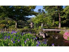 ���Z�������J���̎ʐ^1