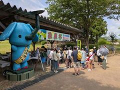 ��34��͂��܂�̎ʐ^1