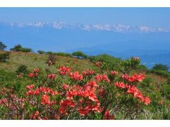 ���{�b�`�����@�����Q�c�c�W�̎ʐ^1