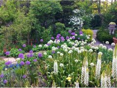 ���ȍ����@�o���N�� �t�����[�V���[�̎ʐ^1