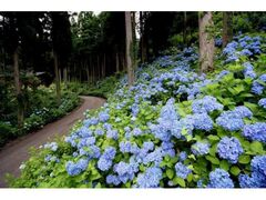 �悠�������܂�u�����������t�F�X�e�B�o��2026�v�̎ʐ^1
