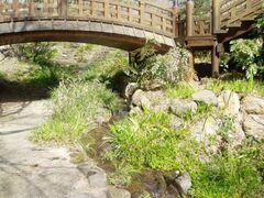 �M�C�~���@�ق���Ϗ܂̗[�ׂ̎ʐ^1