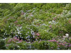 ���c����@���������Ղ̎ʐ^1