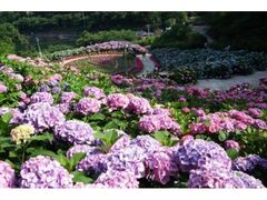 �`�����򂠂������Ղ�̎ʐ^1