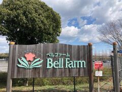 ����_�ƌ����x���t�@�[���̃A�W�T�C�ȂǉẲԂ̎ʐ^1