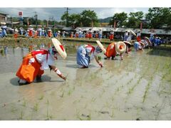 �����Ё@��c�A�Ղ̎ʐ^1