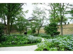 �����{�����@������E�ւ̒ʘH�̎ʐ^1