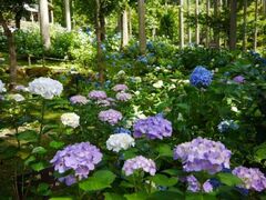 �O��@�@���������Ղ�̎ʐ^1