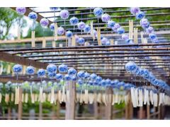 ����܂�̎ʐ^1