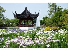 ���������̃n�i�V���E�u�̎ʐ^1