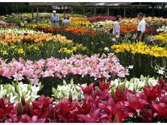 ������܋ʐ���艀�E�����������@�J���̎ʐ^1