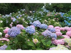 �s���T�������������̊J���̎ʐ^1